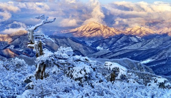 Лучшие горнолыжные курорты Кореи