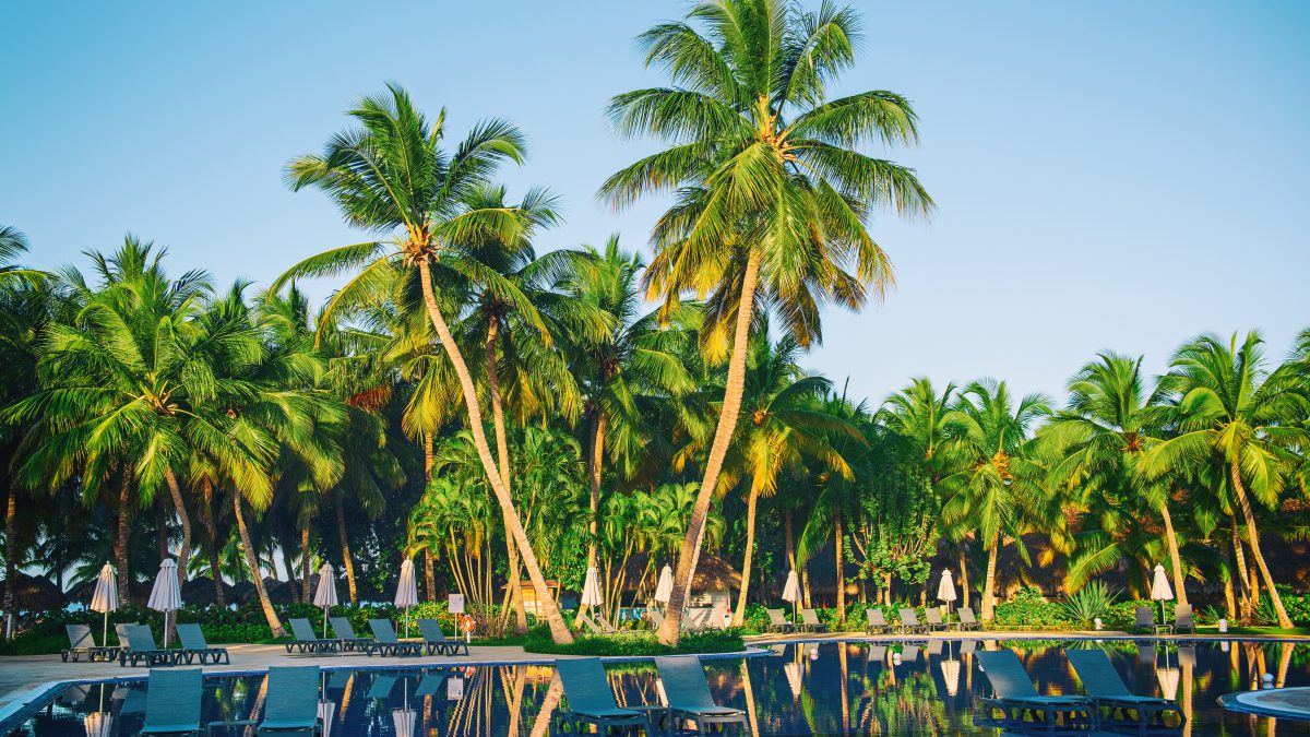 Пляжный отдых в Того: гид по лучшим курортам